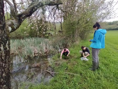 10b_Zagorski večji_monitoring pupka